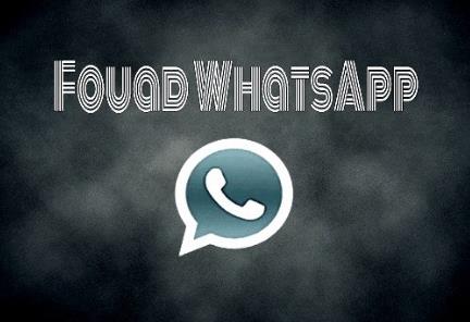 The Best Practices for Using Fouad WhatsApp